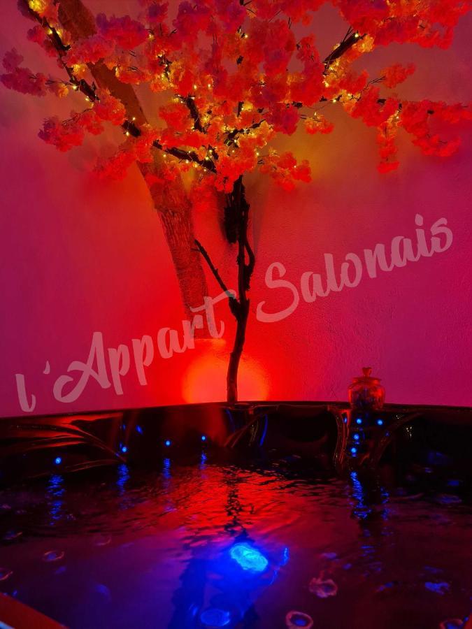 Lappart-Salonais 70M2 Avec Jacuzzi Privatif Luaran gambar